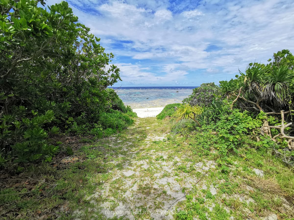 04マガリ゜トゥブリ.jpg 04マガリ゜トゥブリ