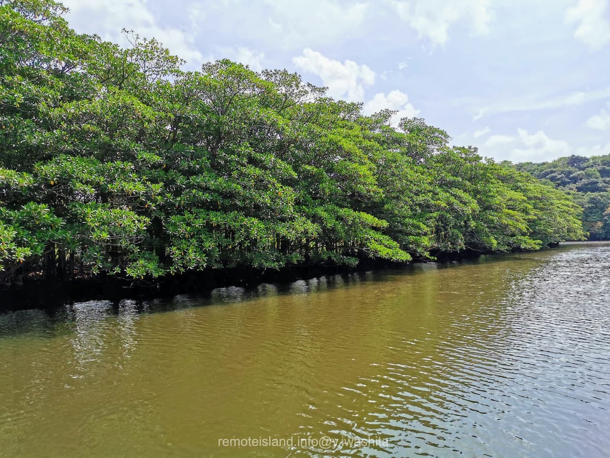 23仲間川.jpg 23仲間川