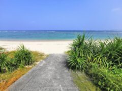 たぶん穴場スポット 広範囲に白い砂浜が続く用海岸【奄美大島】