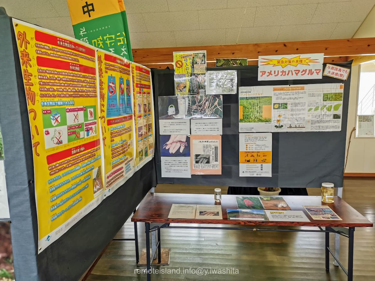 24外来生物.jpg 24外来生物