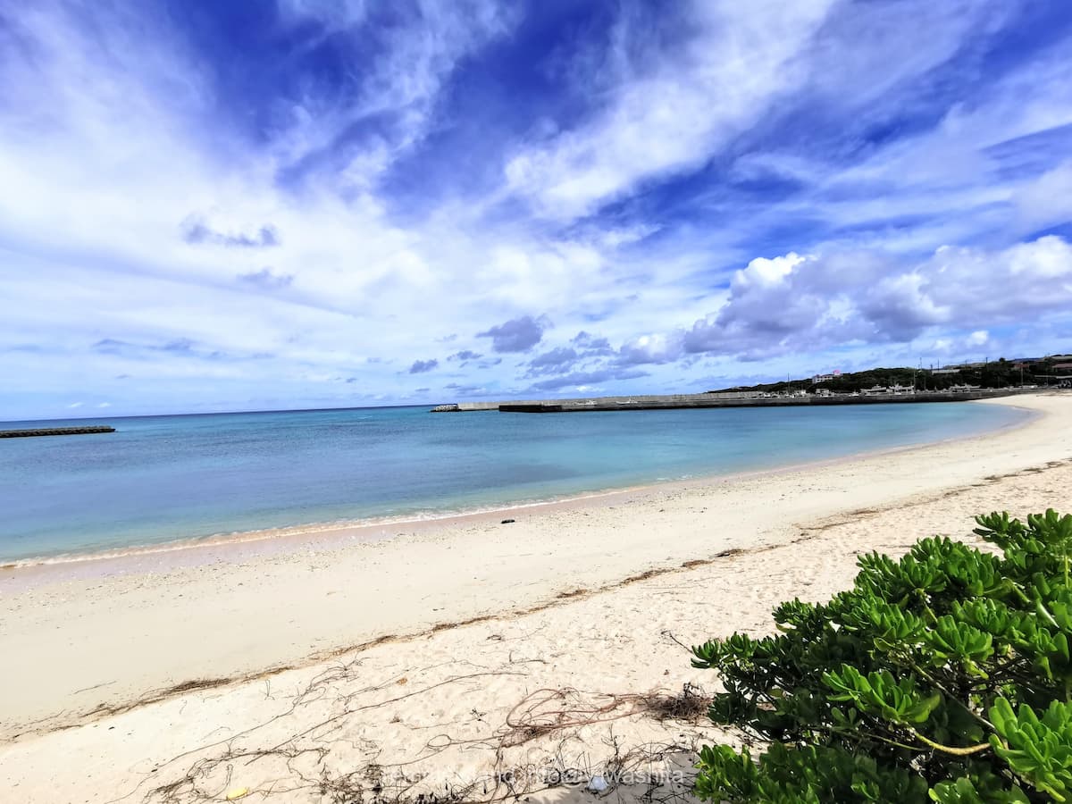 01茶花海岸.jpg 01茶花海岸