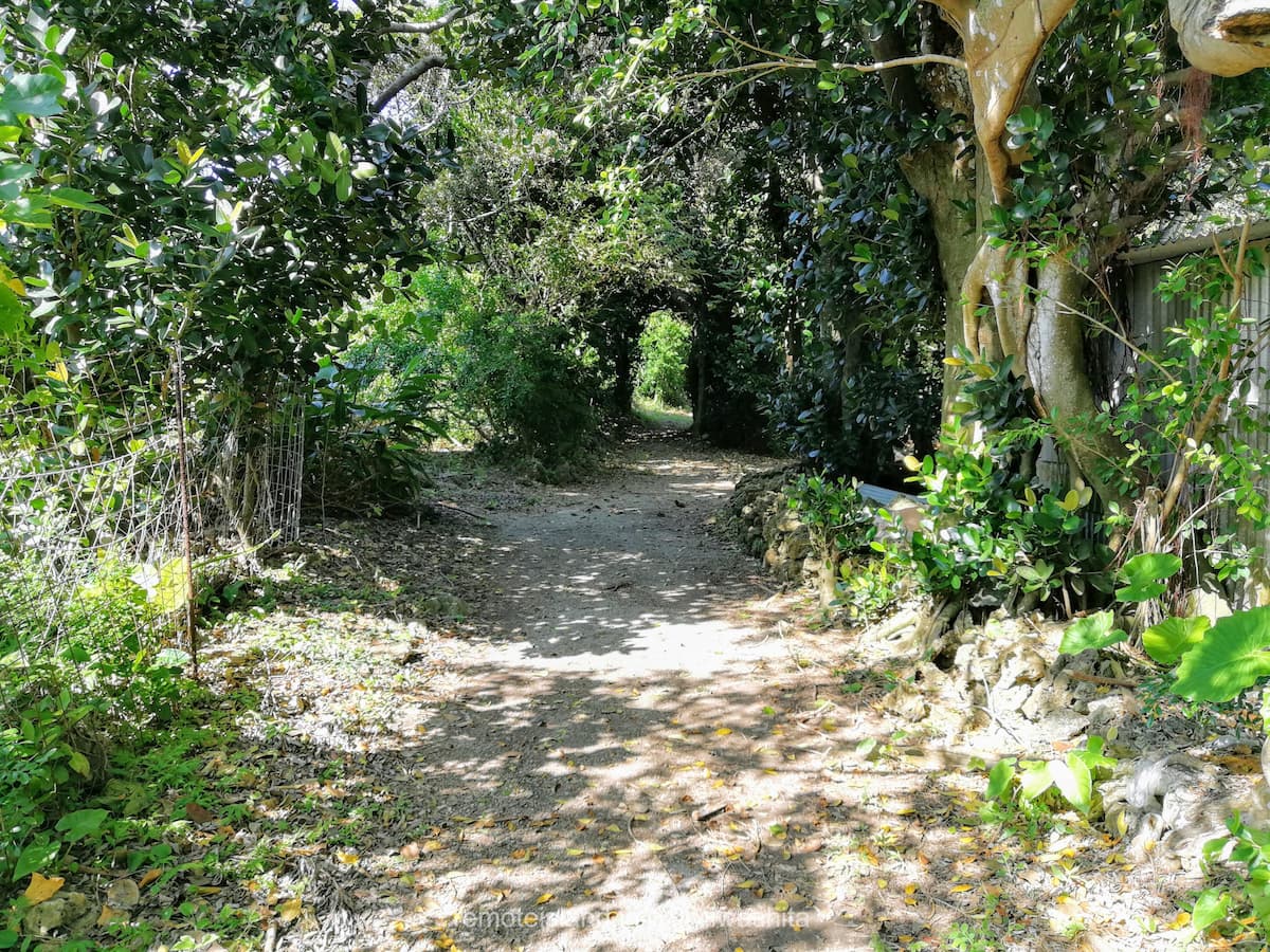 02下り井戸へ.jpg 02下り井戸へ