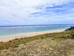 ウミガメの産卵地であり牛の散歩道 徳之島屈指のビーチである喜念浜【徳之島】