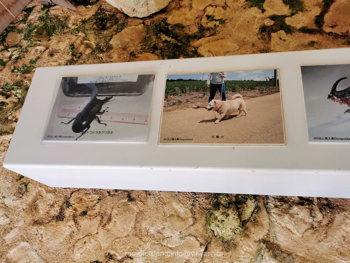 09館内.jpg 09館内