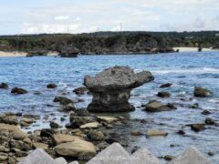 与論島の玄関口の近くにあるウェル亀 降り立つ人をお出迎え【与論島】