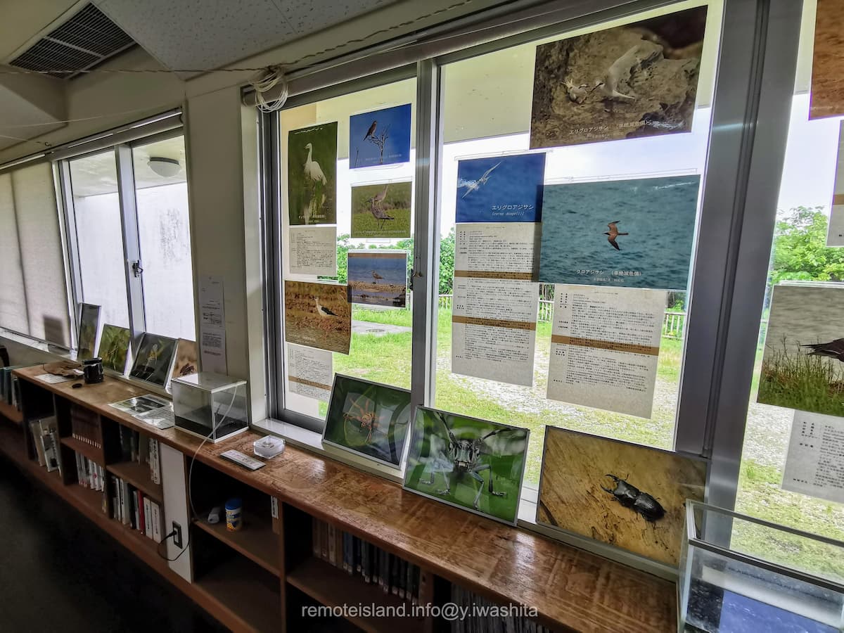 23固有種.jpg 23固有種