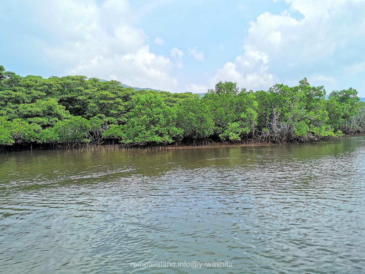 28仲間川.jpg 28仲間川