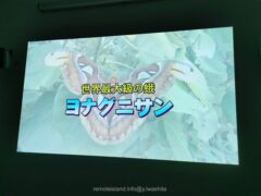 世界最大級の蛾ヨナグニサンを知ることができるアヤミハビル館【与那国島】