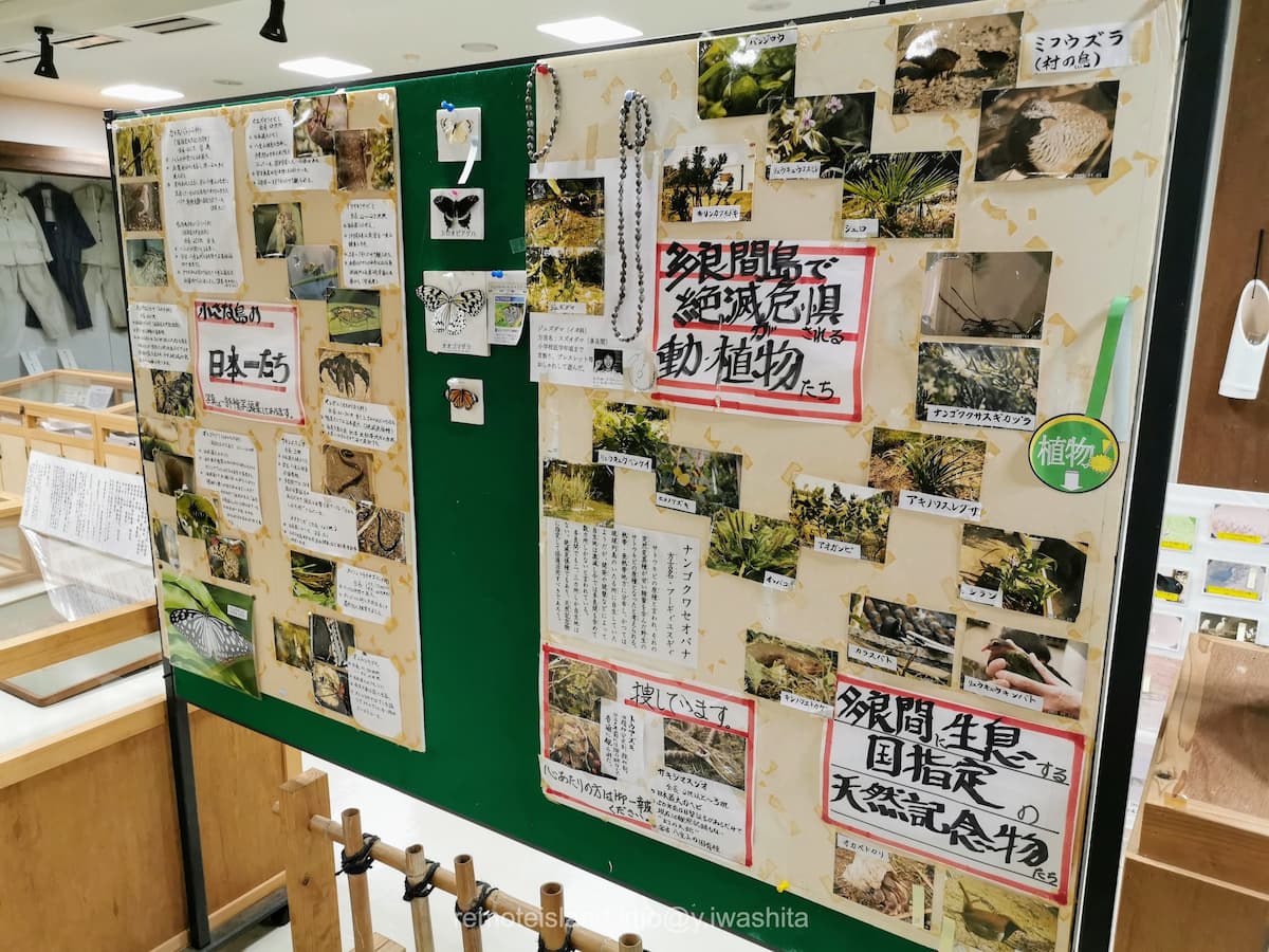 04島の日本一・絶滅危惧.jpg 04島の日本一 絶滅危惧