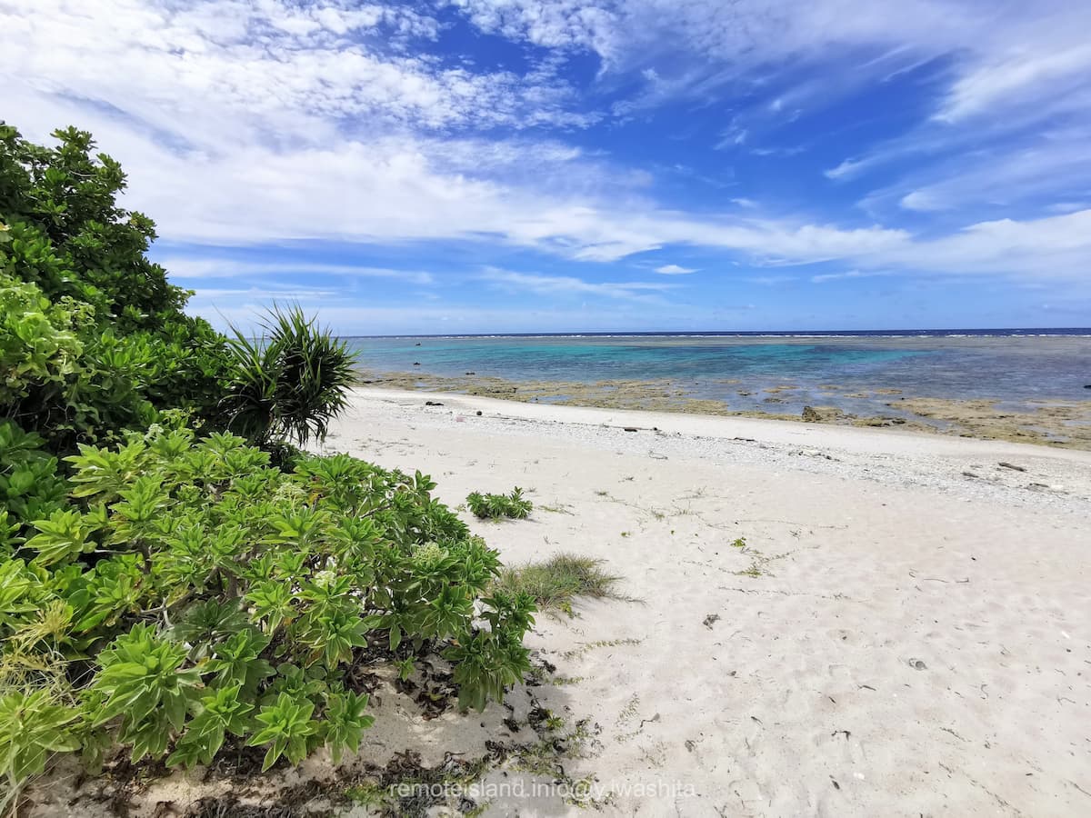 06マガリ゜.jpg 06マガリ゜