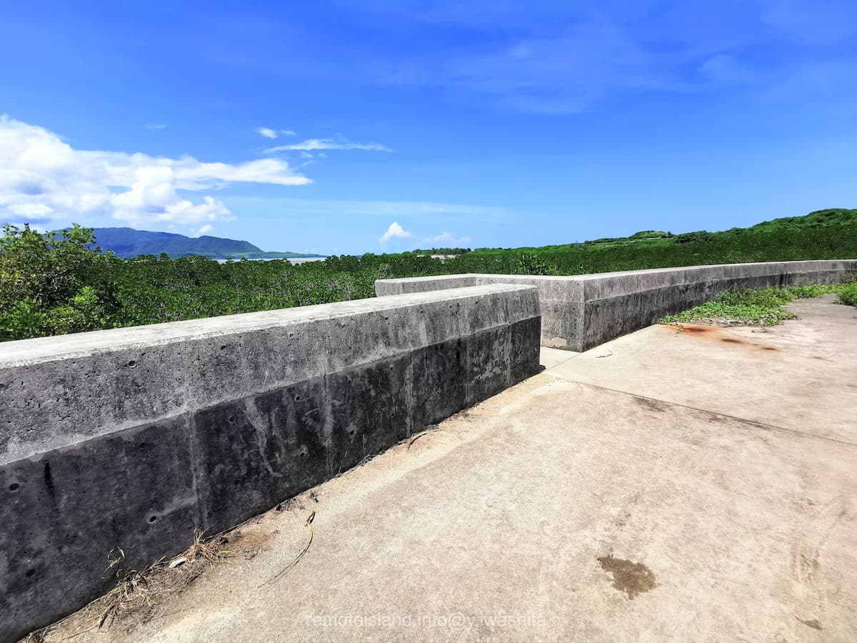 04マングローブ群落