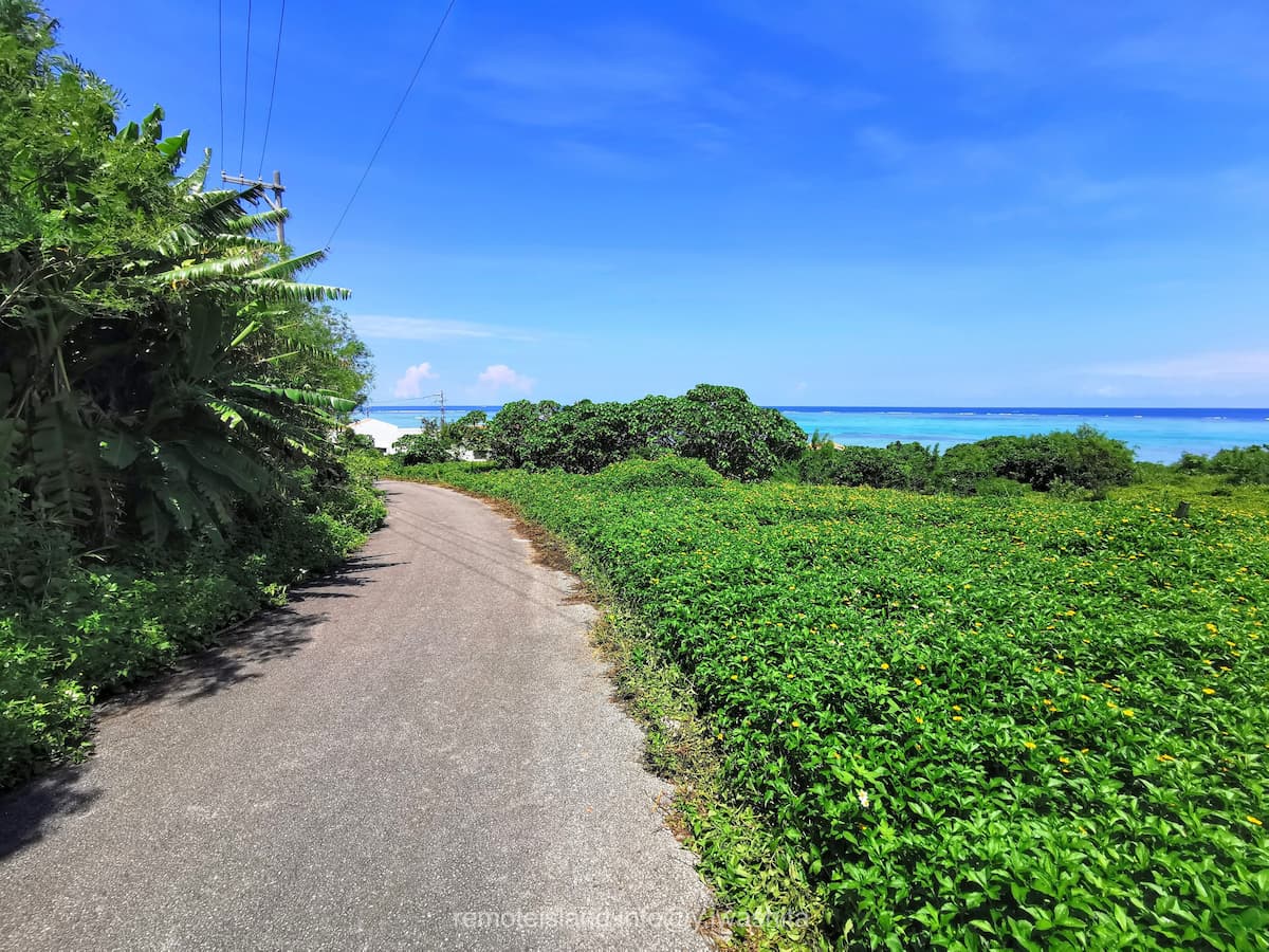 03ビーチへの道.jpg 03ビーチへの道