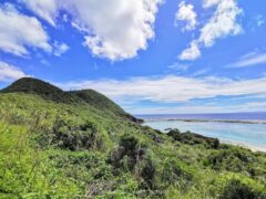 クバに覆われた聖なる山  沖縄県最北端の地にある久葉山【伊平屋島】
