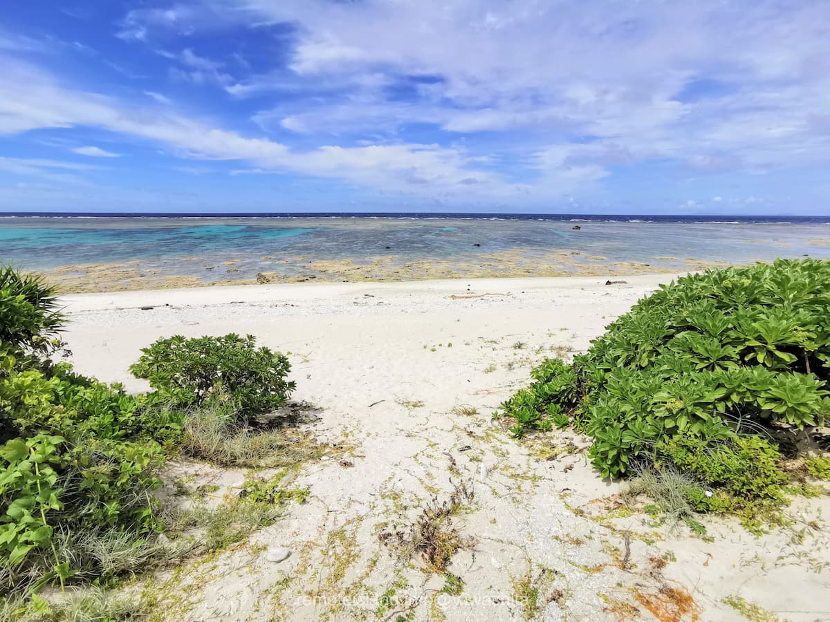 05マガリ゜.jpg 05マガリ゜