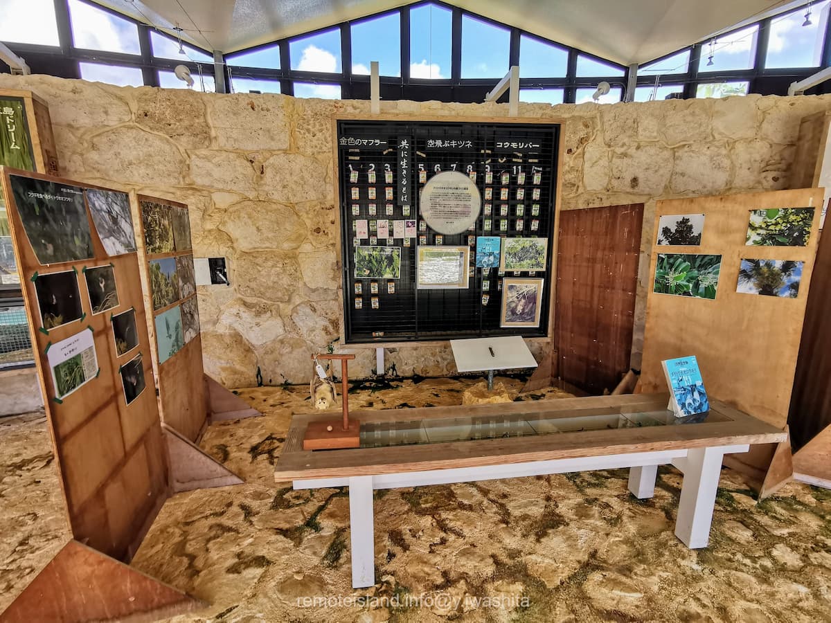 06館内.jpg 06館内