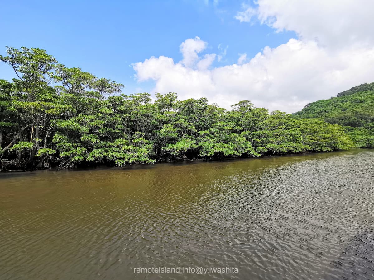 15仲間川.jpg 15仲間川