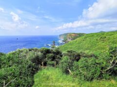 与那国島のシンボル立神岩を見ることができる立神岩展望台【与那国島】