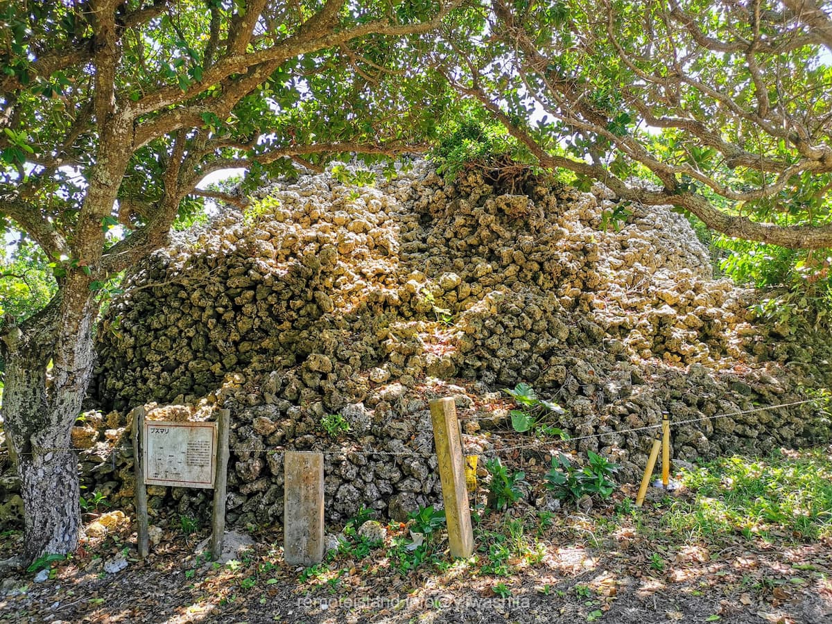 03プズマリ.jpg 03プズマリ