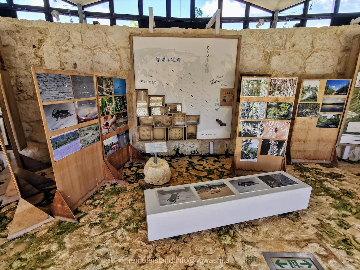 07館内.jpg 07館内