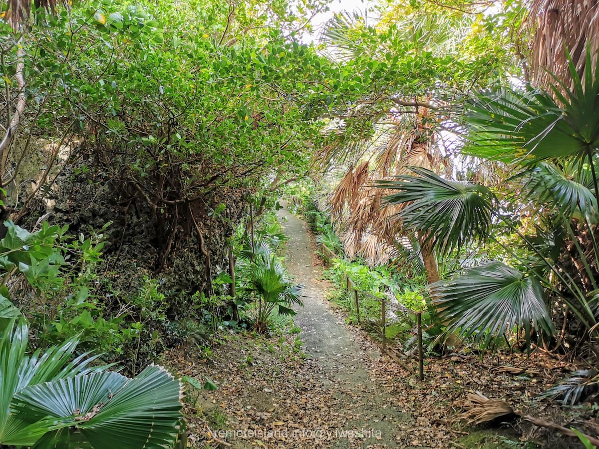 12遊歩道.jpg 12遊歩道