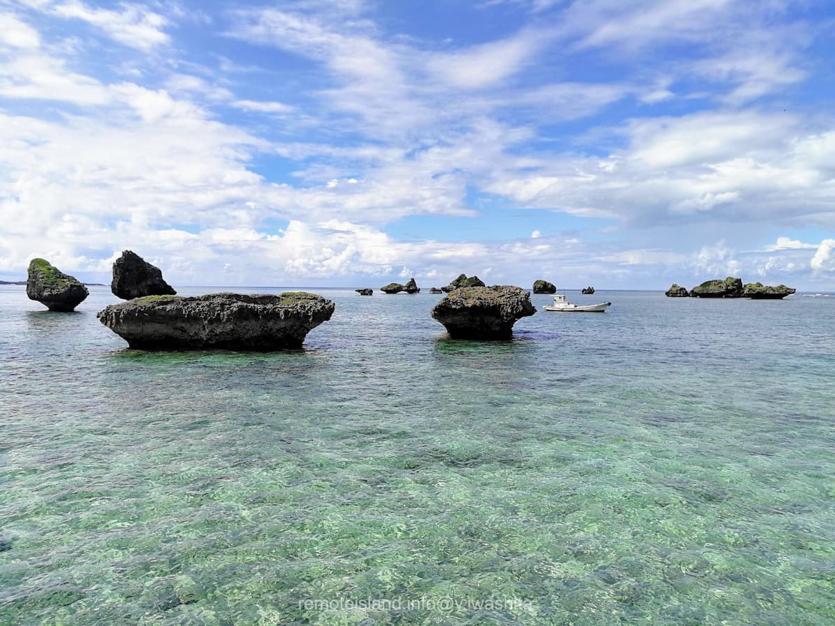 35ノッチ.jpg 35ノッチ