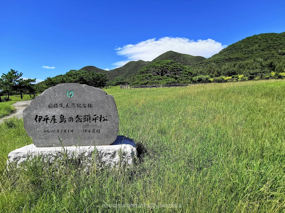 05念頭平松.jpg 05念頭平松