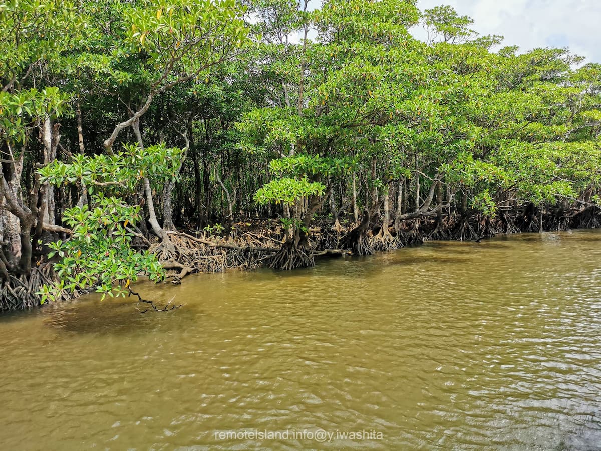 24仲間川.jpg 24仲間川