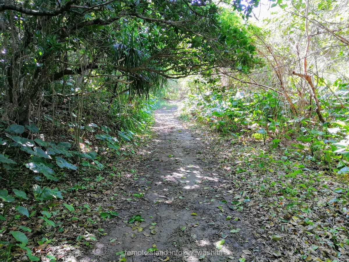 01浜への入口.jpg 01浜への入口