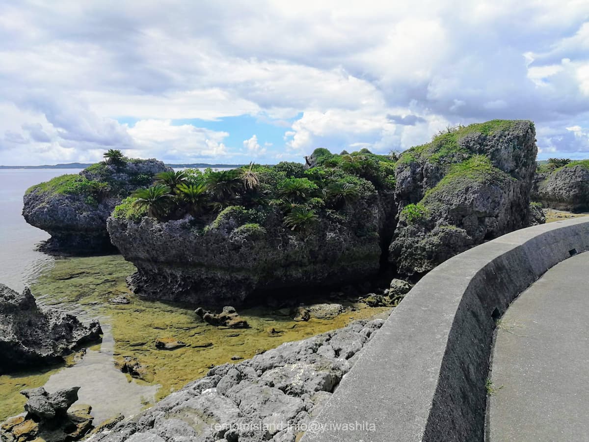 05漁港横ノッチ.jpg 05漁港横ノッチ