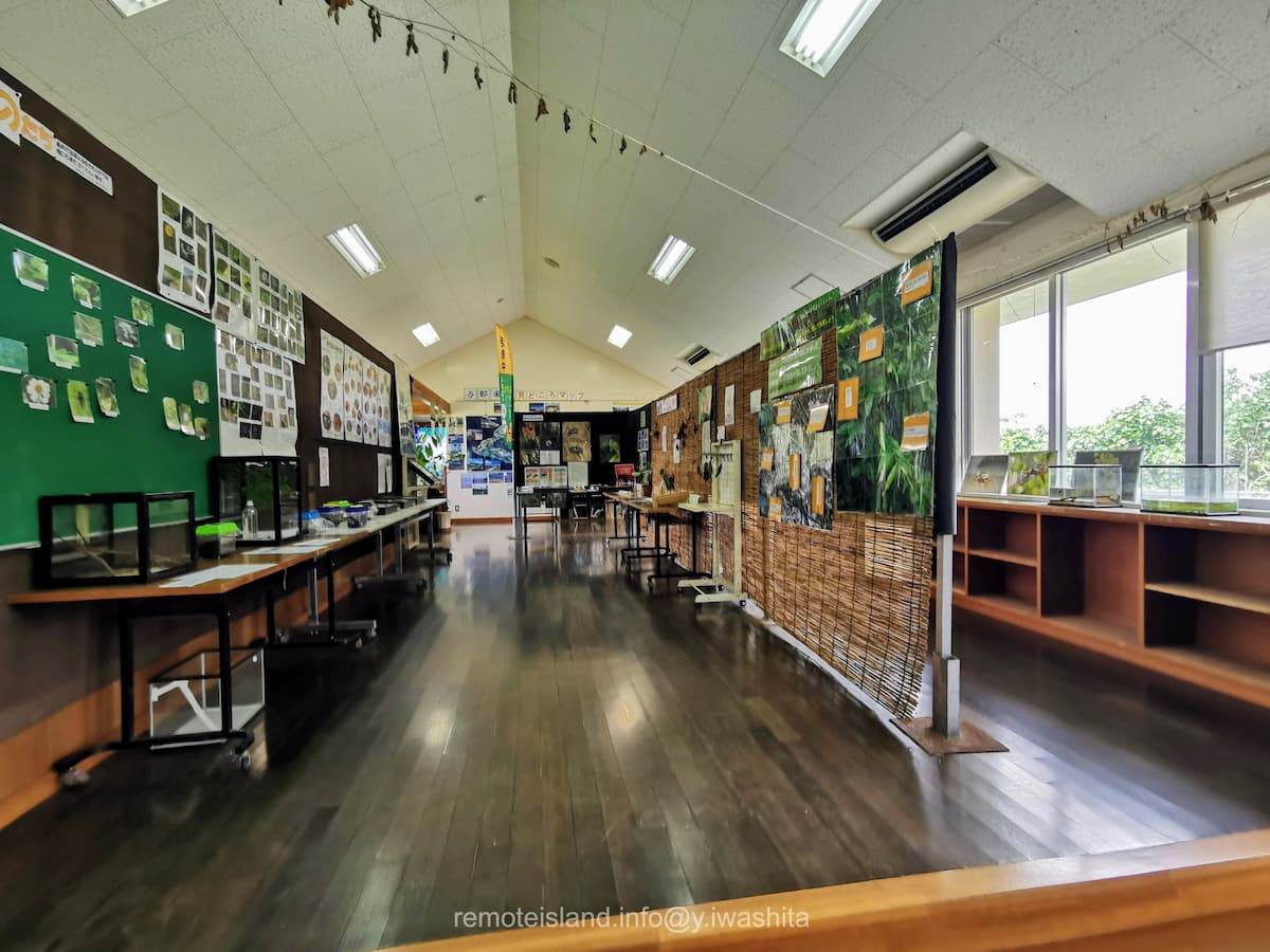 17館内.jpg 17館内