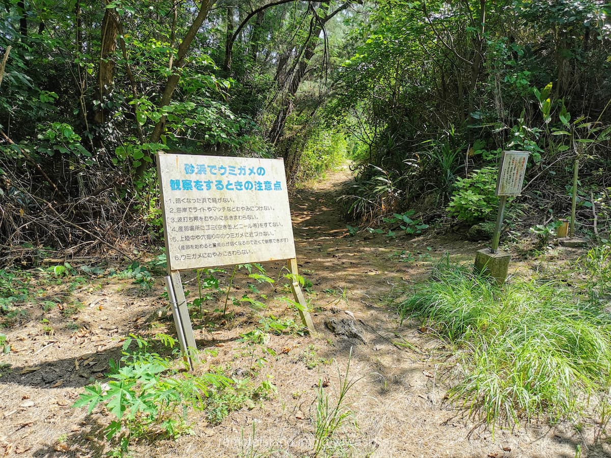 02入口.jpg 02入口