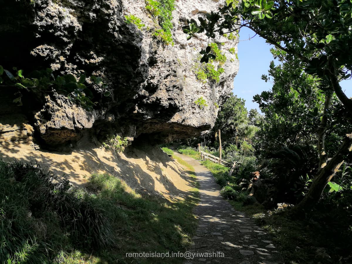 10遊歩道.jpg 10遊歩道