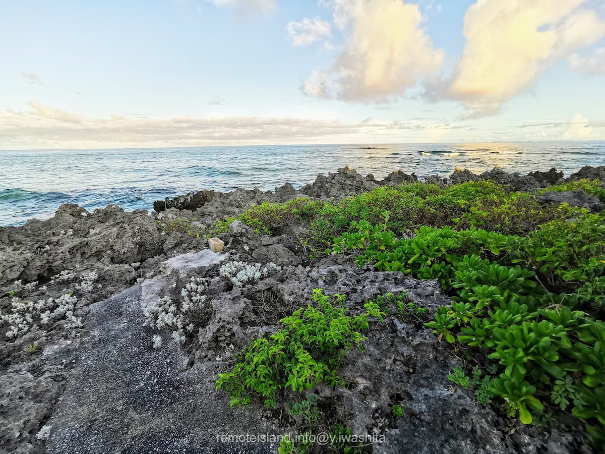 08東屋から.jpg 08東屋から