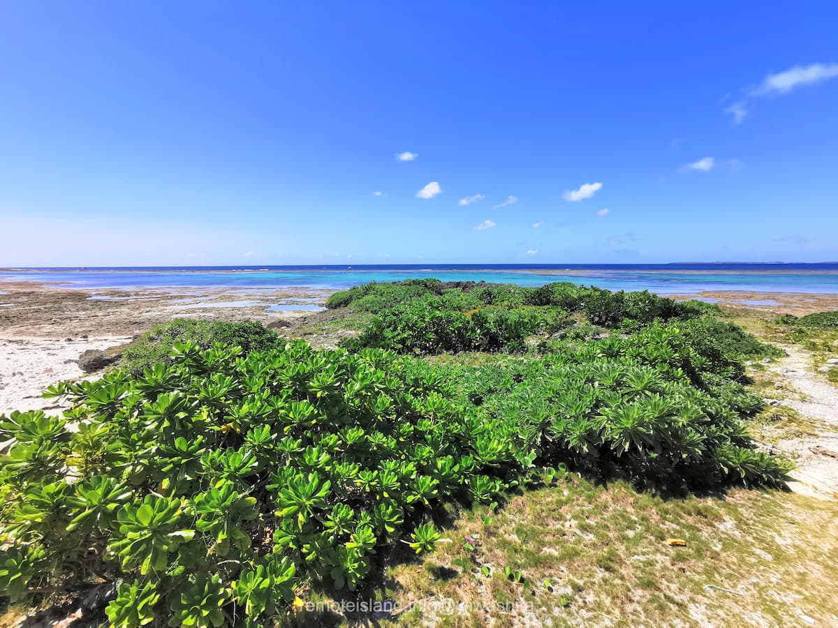 05入口.jpg 05入口