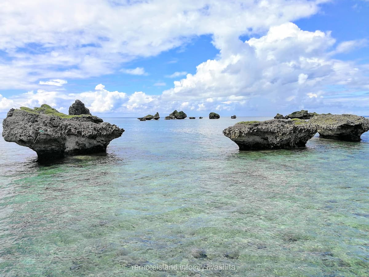 25ノッチ.jpg 25ノッチ