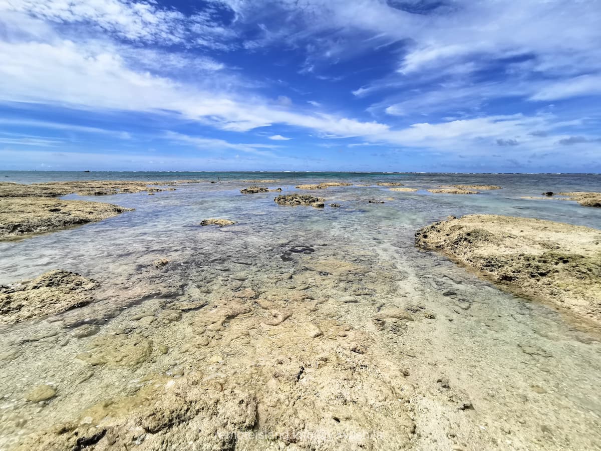 08マガリ゜.jpg 08マガリ゜