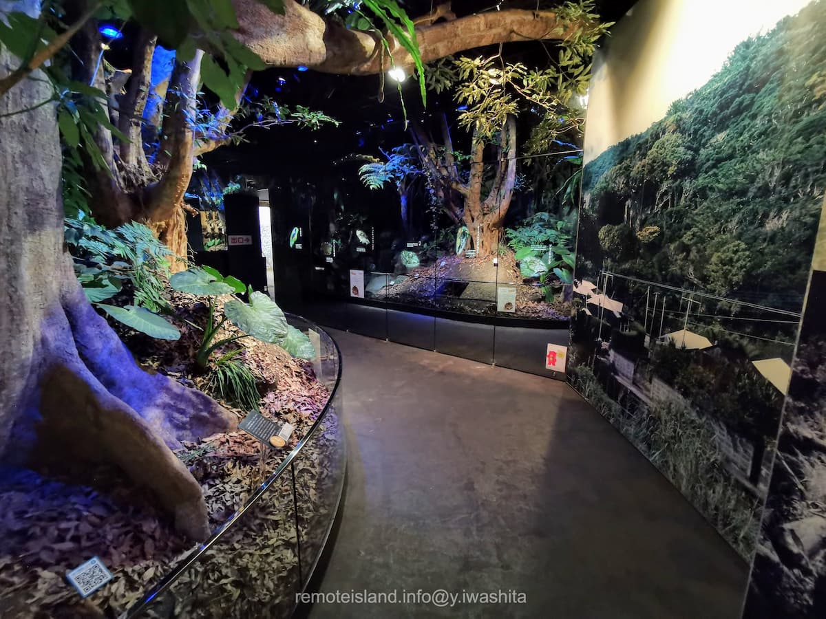 09奄美の郷.jpg 09奄美の郷