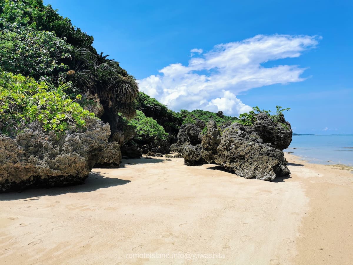 09コーラルビーチ.jpg 09コーラルビーチ