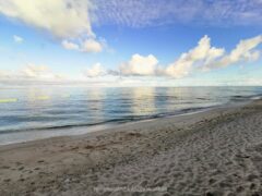 砂浜が約1キロも続く長浜ビーチ(ウーグの浜) モンパの木も自生【粟国島】