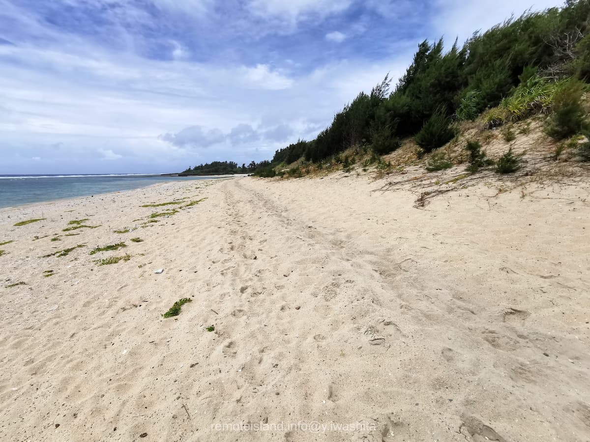 05牛の足跡.jpg 05牛の足跡