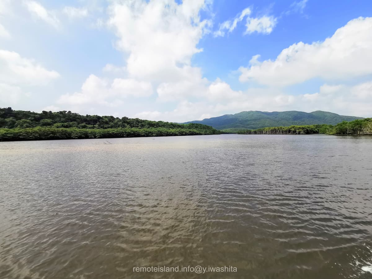 11仲間川.jpg 11仲間川