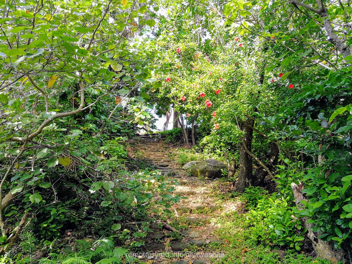 07鳩間中森.jpg 07鳩間中森