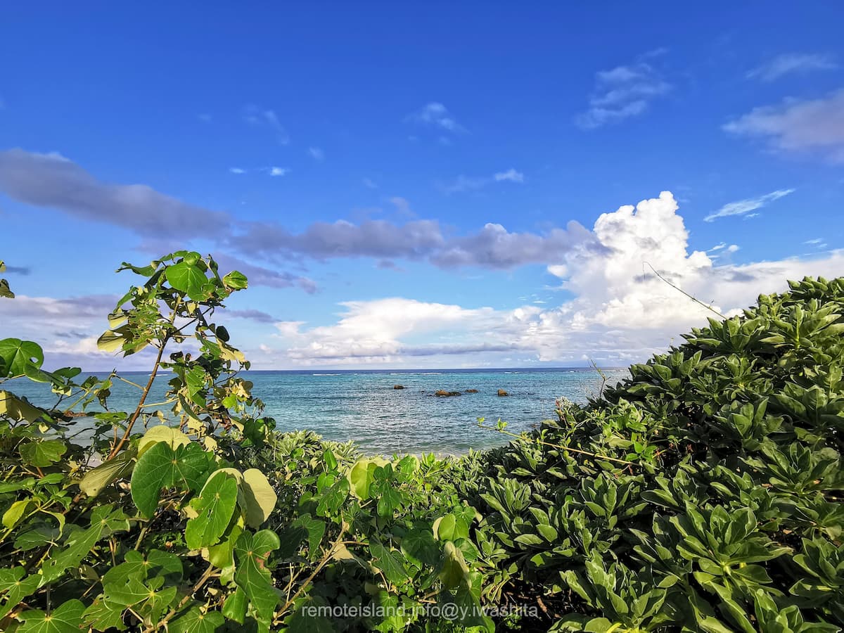08浜