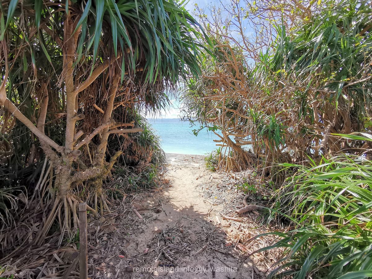 01入口.jpg 01入口