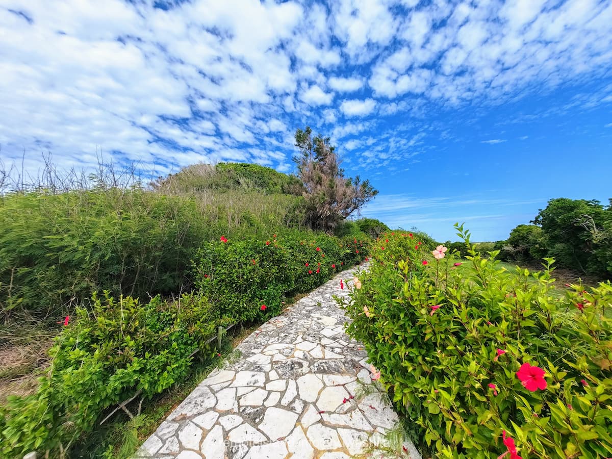 09歩道.jpg 09歩道