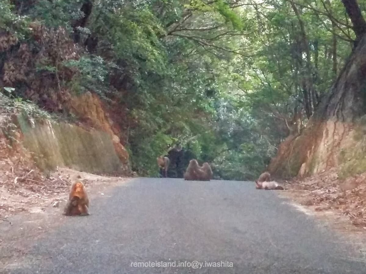 04西部林道.jpg 04西部林道