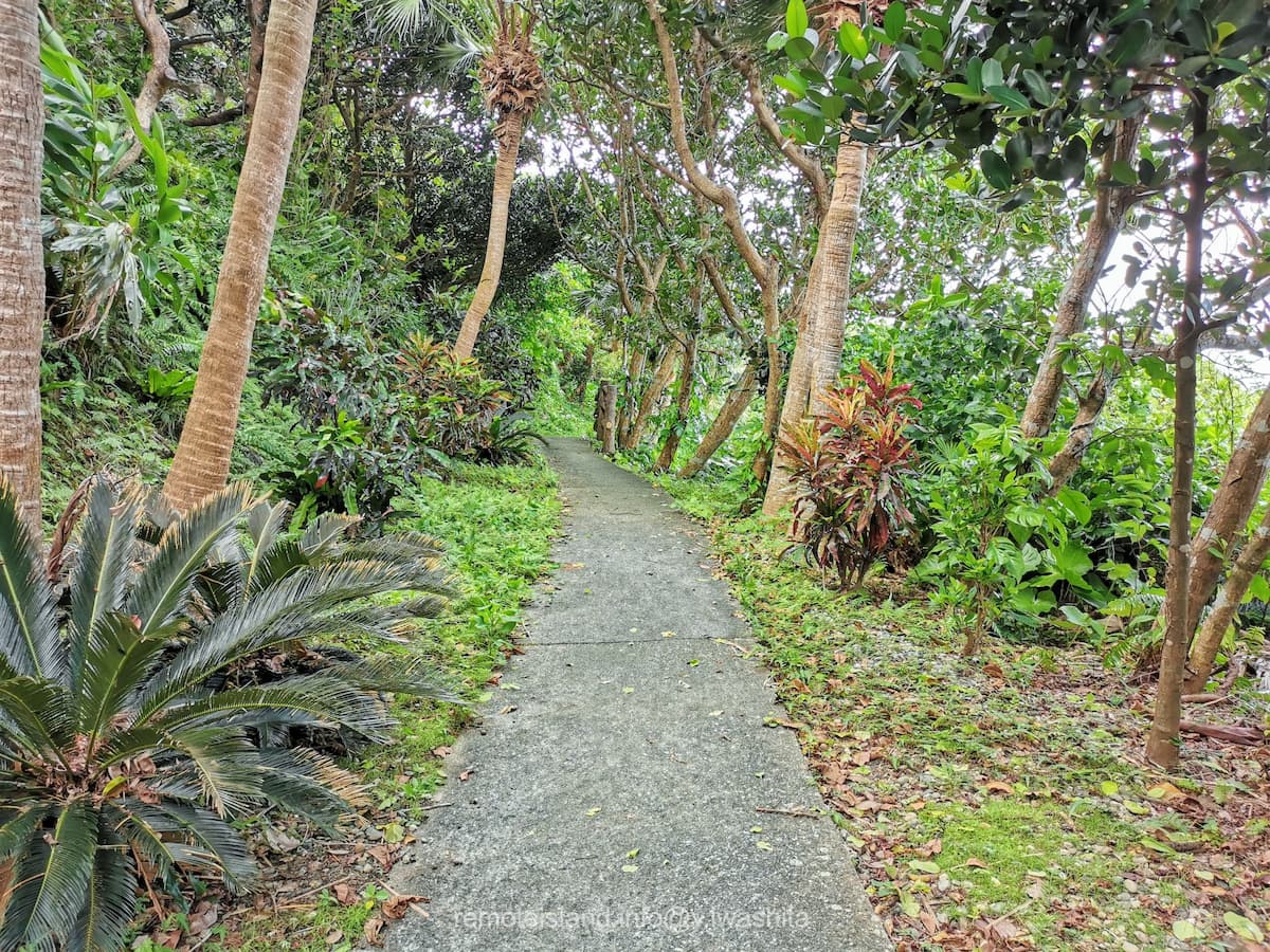 06遊歩道.jpg 06遊歩道