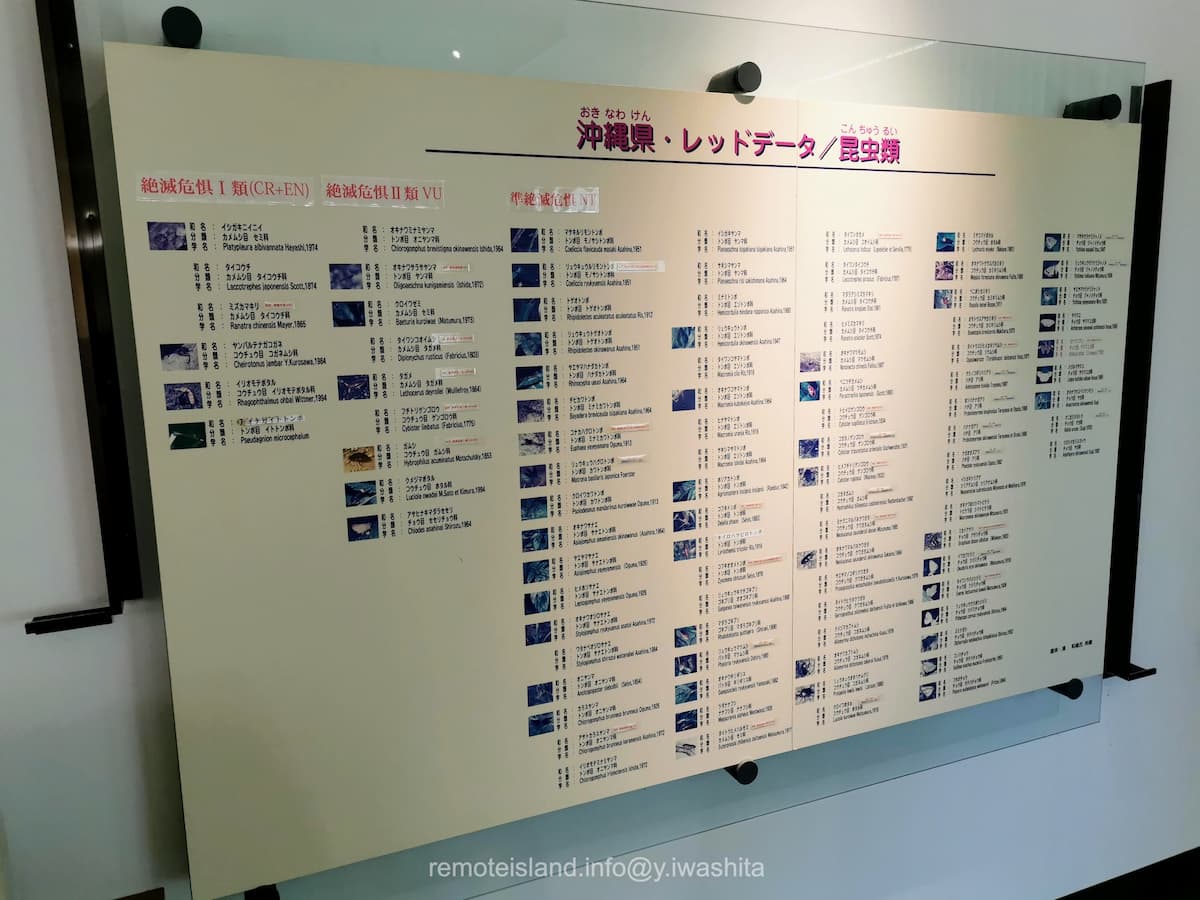 16沖縄県レッドデータ.jpg 16沖縄県レッドデータ