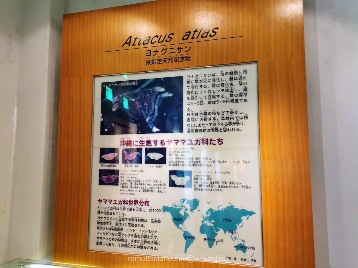 05世界分布図.jpg 05世界分布図