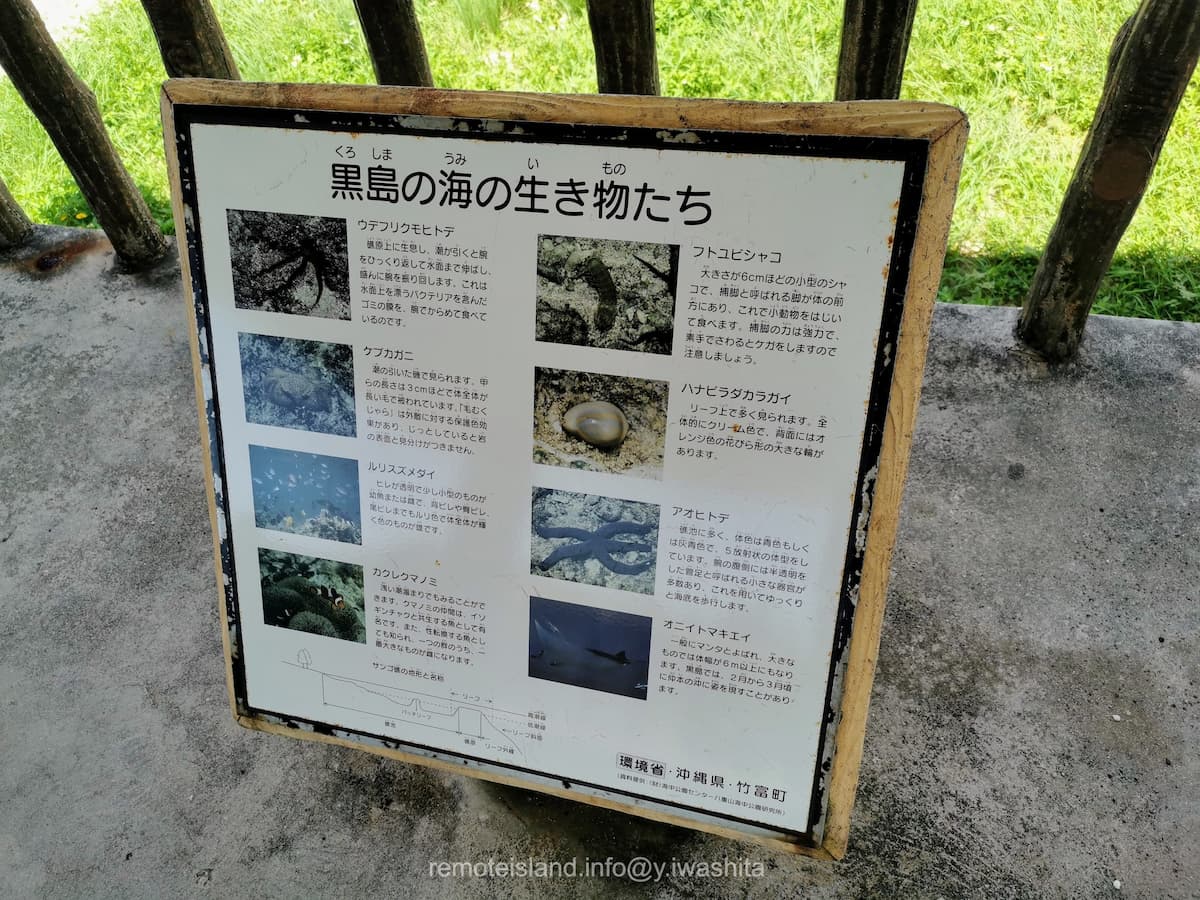 02海の生き物.jpg 02海の生き物